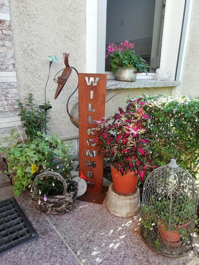 Ferienwohnung Zur Alten Eiche Frohburg Ngoại thất bức ảnh